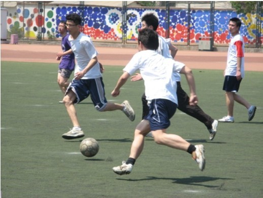 新加盟的内 新加盟的内