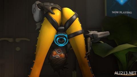 与透明牌照 与透明牌照