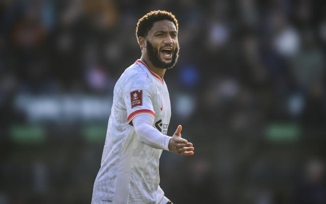 自我证明 自我证明